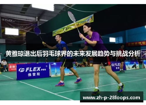 黄雅琼退出后羽毛球界的未来发展趋势与挑战分析